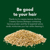 Morfose Quinoa Protein Shampoo 1000ml - Nourish and Protect Your Hair