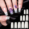 Globalstar Pro 500-Piece French Style False Nail Kit - Flawless Manicures