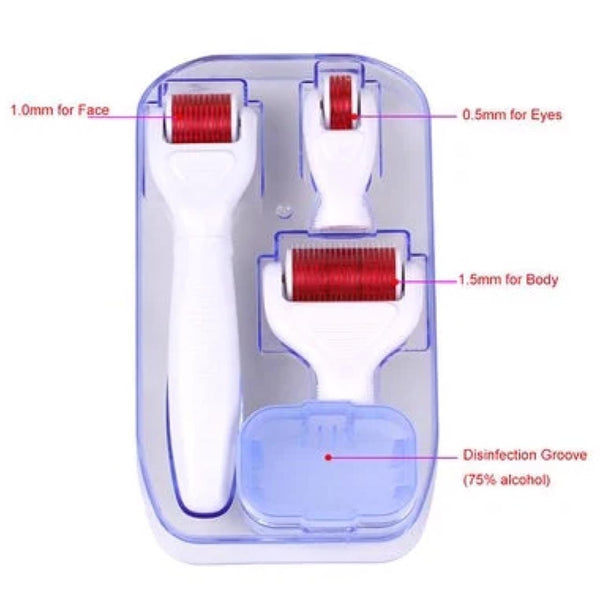 Globalstar 4 in 1 Derma Roller Interchangebale Heads Micro Needle For Face And Body 840