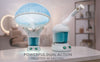 Beautystar Mini 2 in 1 Hair & Facial Steamer HF-2002