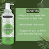 Morfose Biotin Hair Shampoo 1000ml - Nourish and Strengthen with Biotin