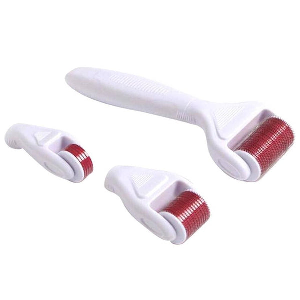 Globalstar 4 in 1 Derma Roller Interchangebale Heads Micro Needle For Face And Body 840