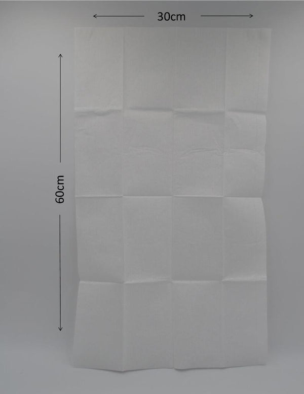 Globalstar Disposable Hygienic Towels 100pcs 30*60cm - Awarid UAE