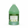 Globalstar 2 in 1 After Wax & Massage Rosemary Oil Extract 3.8L