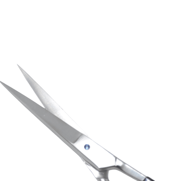 Globalstar 6.5" Classic Hair Cutting Scissors - Stainless Steel with Rubber Grip